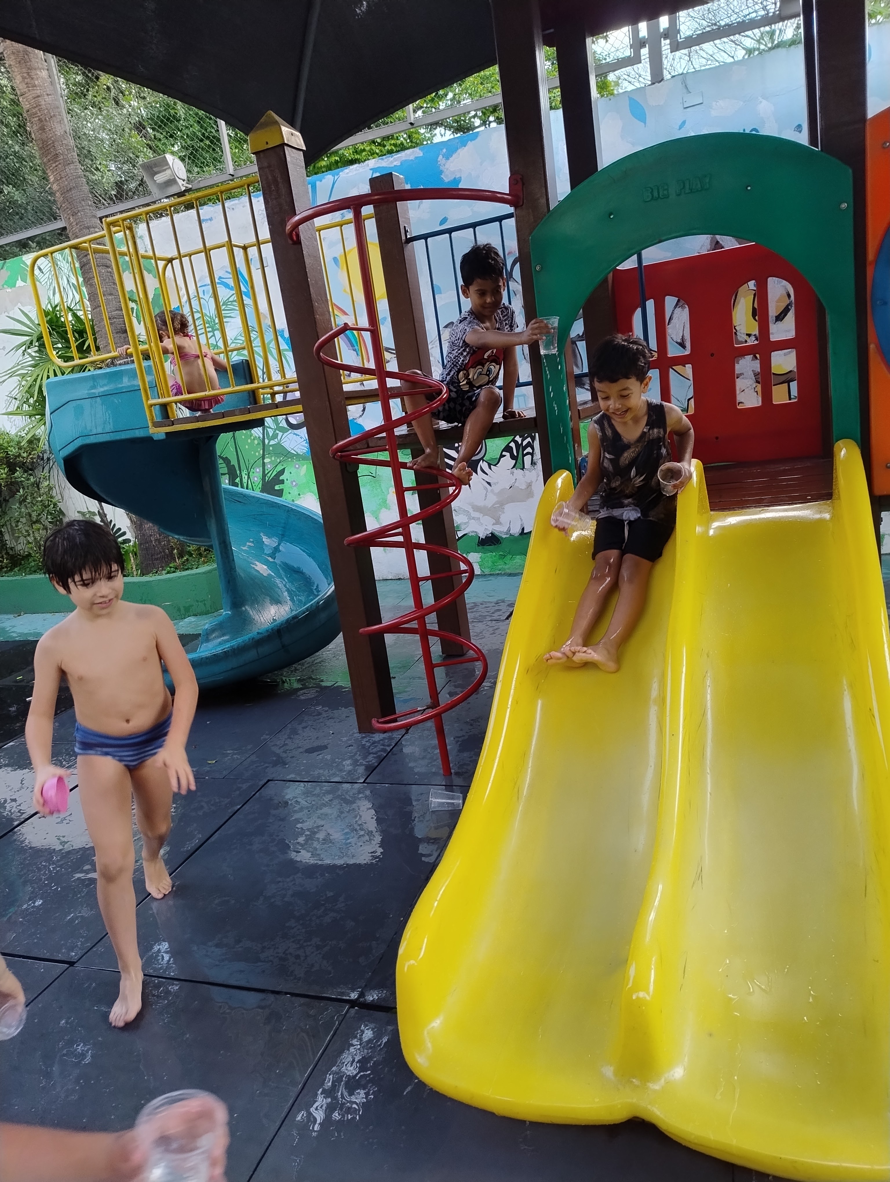 IMG-20251014-162429115-HDR-jpg04122025143041