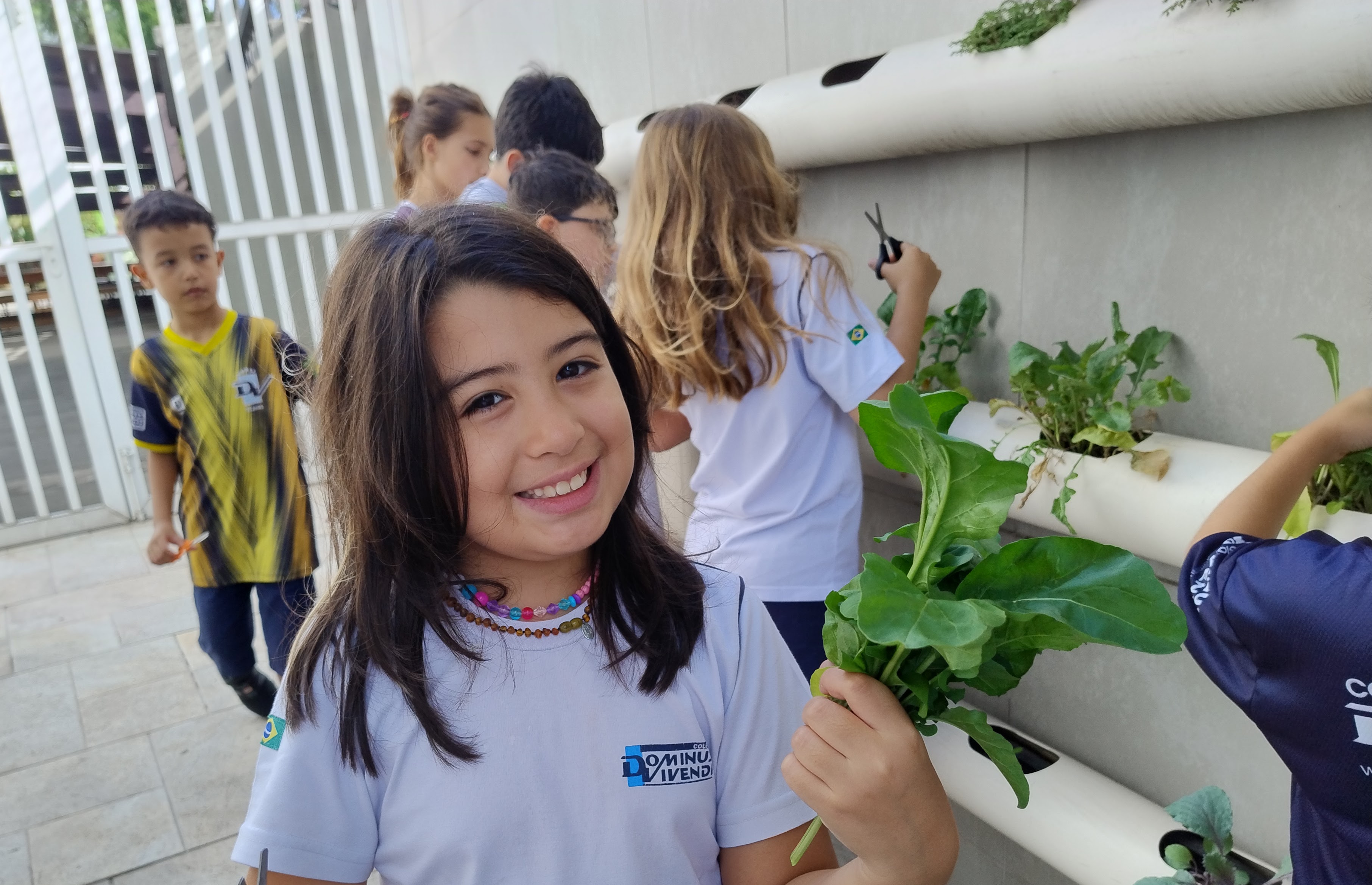 Horta no Integral - Colhendo a safra de Dez 2026